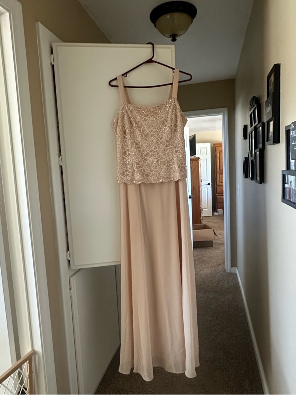 Elegant Blush Lace Evening Dress - Picture 4 of 6